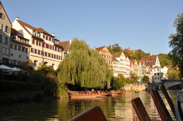 Punting on the Neckar river in Tübingen