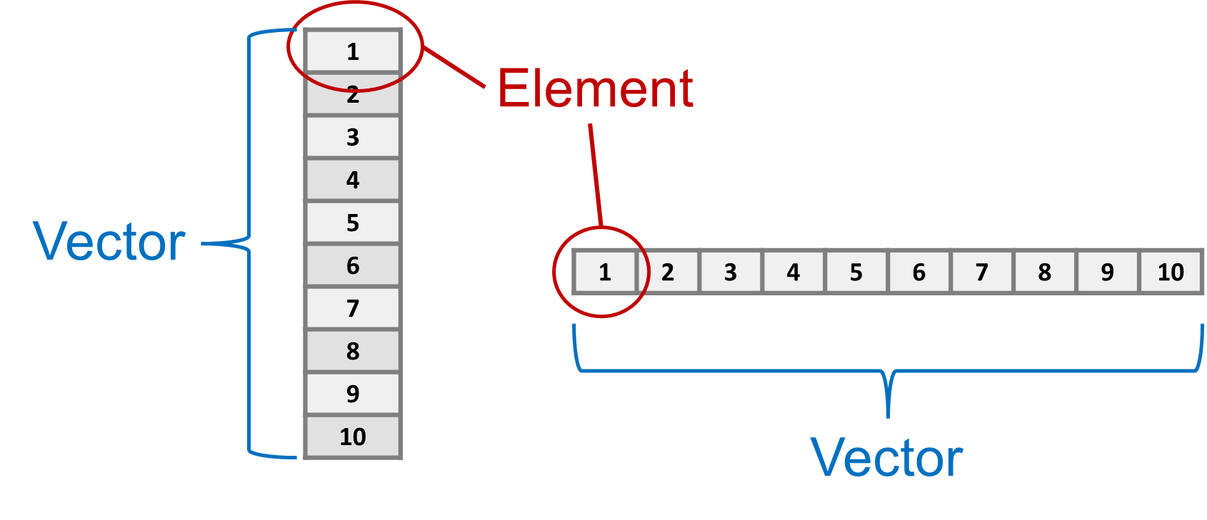 Vectors contain elements